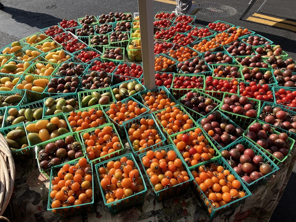 Welcome to Gut Healthy’s inaugural newsletter! October 2024