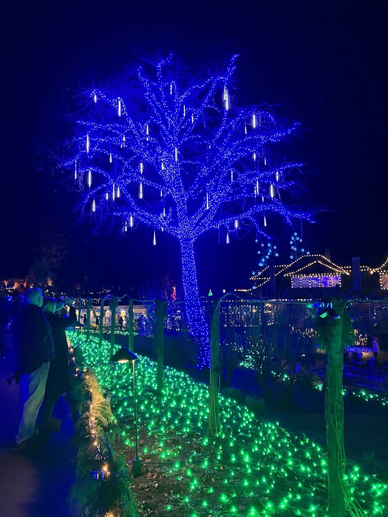 Gut Healthy’s December 2024 Newsletter – Happy Holidays!