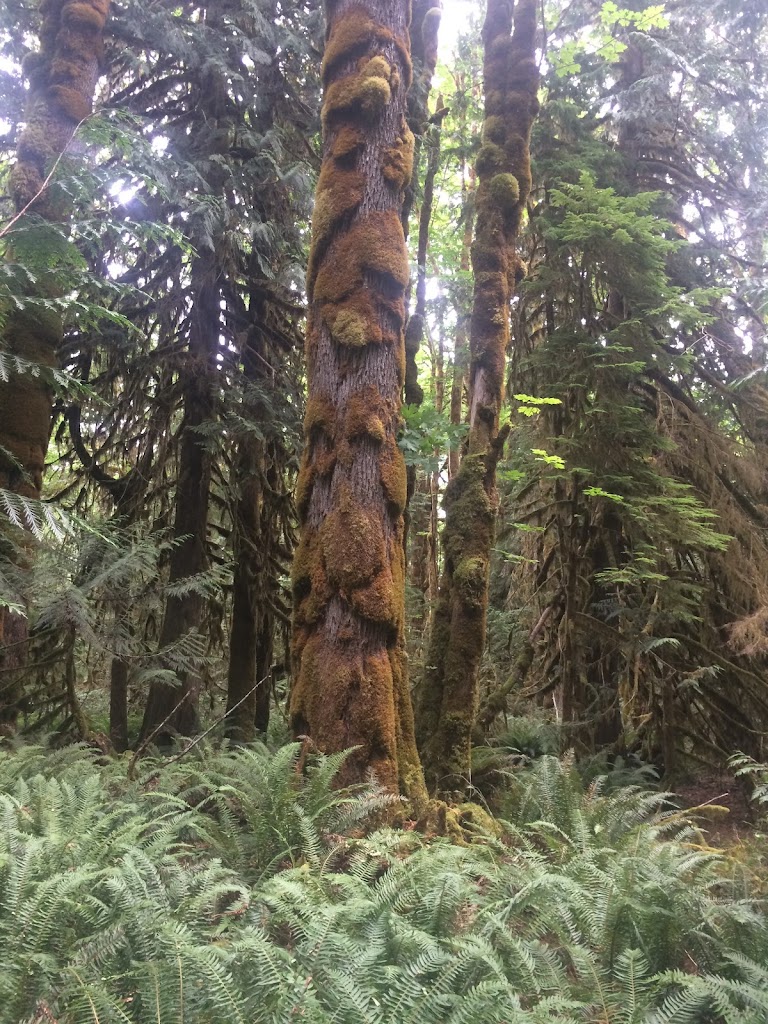 February 2025 Newsletter – 11 Simple Habits for a Healthier Mind & Body!