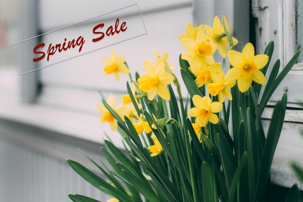 March 2025 Newsletter – Spring Sale and National Nutrition Month